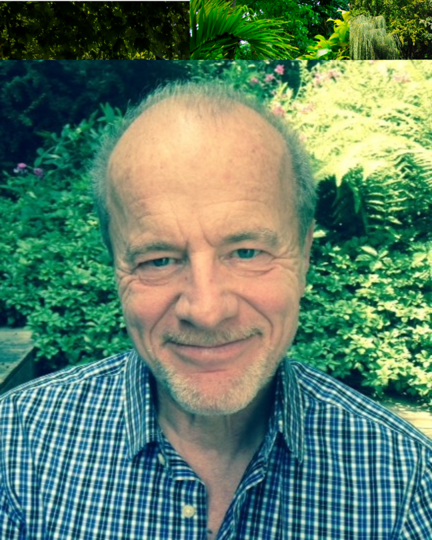 Latin, History, College Application Essays Dr. McKim Former History Professor and Princeton PhD graduate